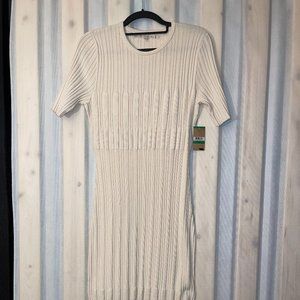Rachel Roy Cream Sweater Dress NWT sz L